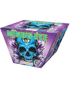 SP2244-Minds-eye